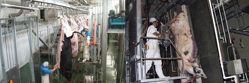 牛屠宰設備