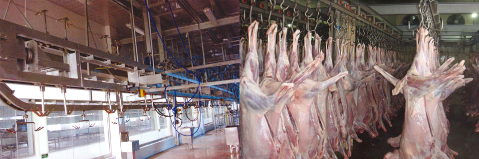 羊屠宰設備